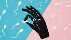 Hareketsiz Sperm ile Tüp Bebek Olur Mu